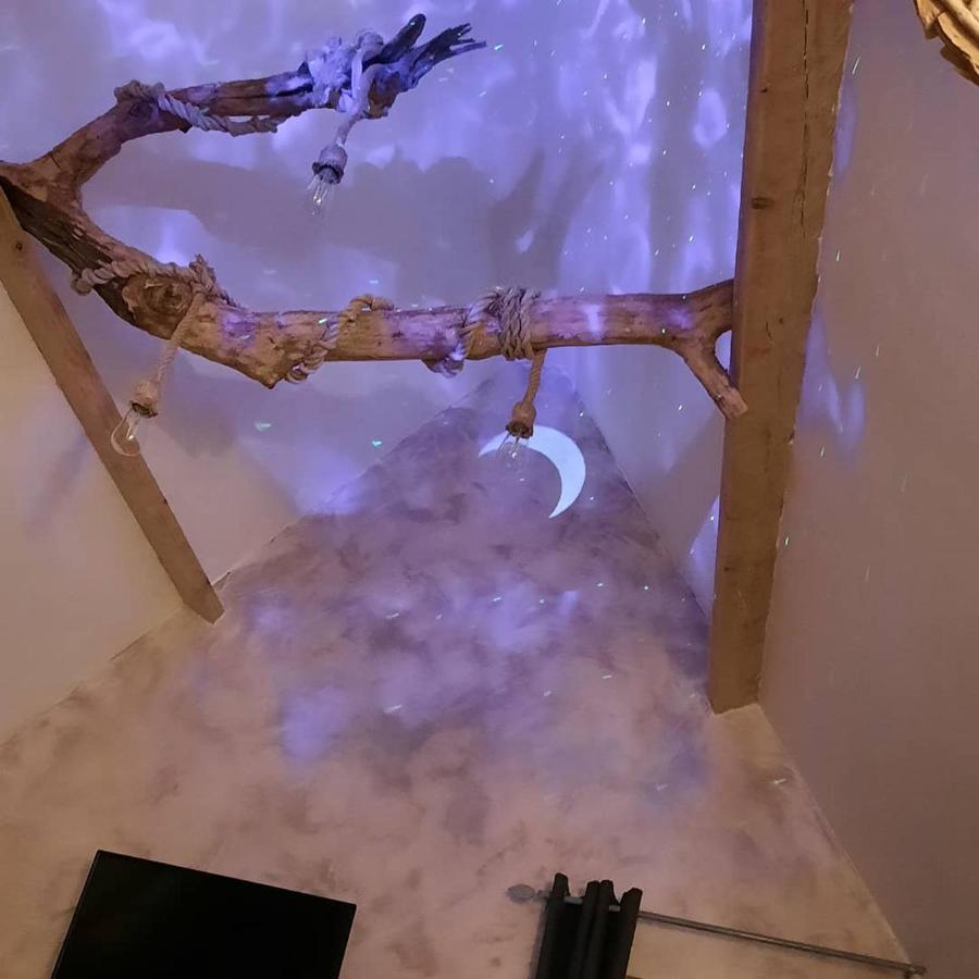 Le Nid'Ange Bed & Breakfast Torcy  Bagian luar foto
